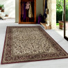 AKCIA: 200x290 cm Kusový koberec Kashmir 2604 cream