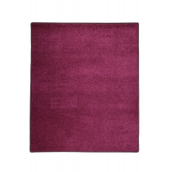AKCIA: 57x120 cm Kusový koberec Eton fialový 48