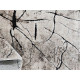 AKCIA: 120x180 cm Kusový koberec Miami 129 Beige