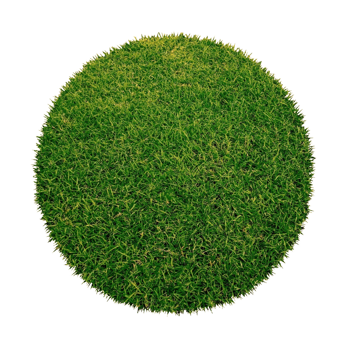 Umelá tráva Botanic kruh - 150x150 (priemer) kruh cm Betap koberce 