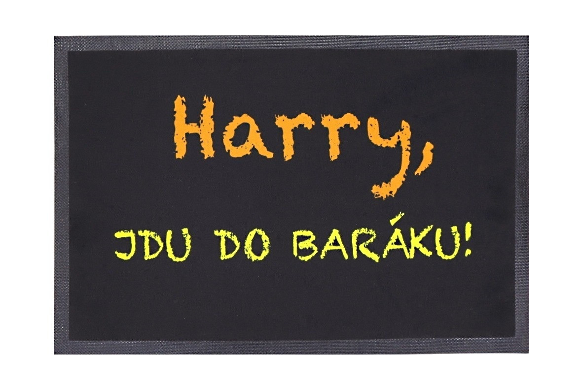 Rohožka Harry, jdu do baráku 40x60 cm - 40x60 cm Mercury Flooring 