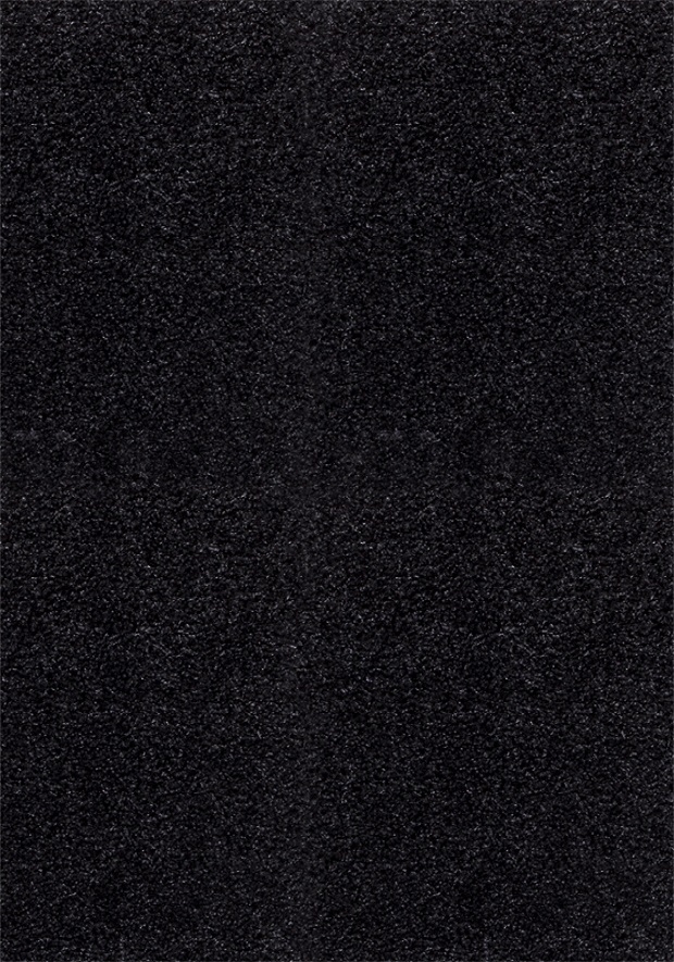 Kusový koberec Dream Shaggy 4000 Antrazit - 160x230 cm Ayyildiz koberce 