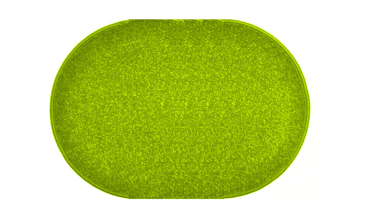 Kusový koberec Eton zelený ovál - 200x300 cm Vopi koberce 